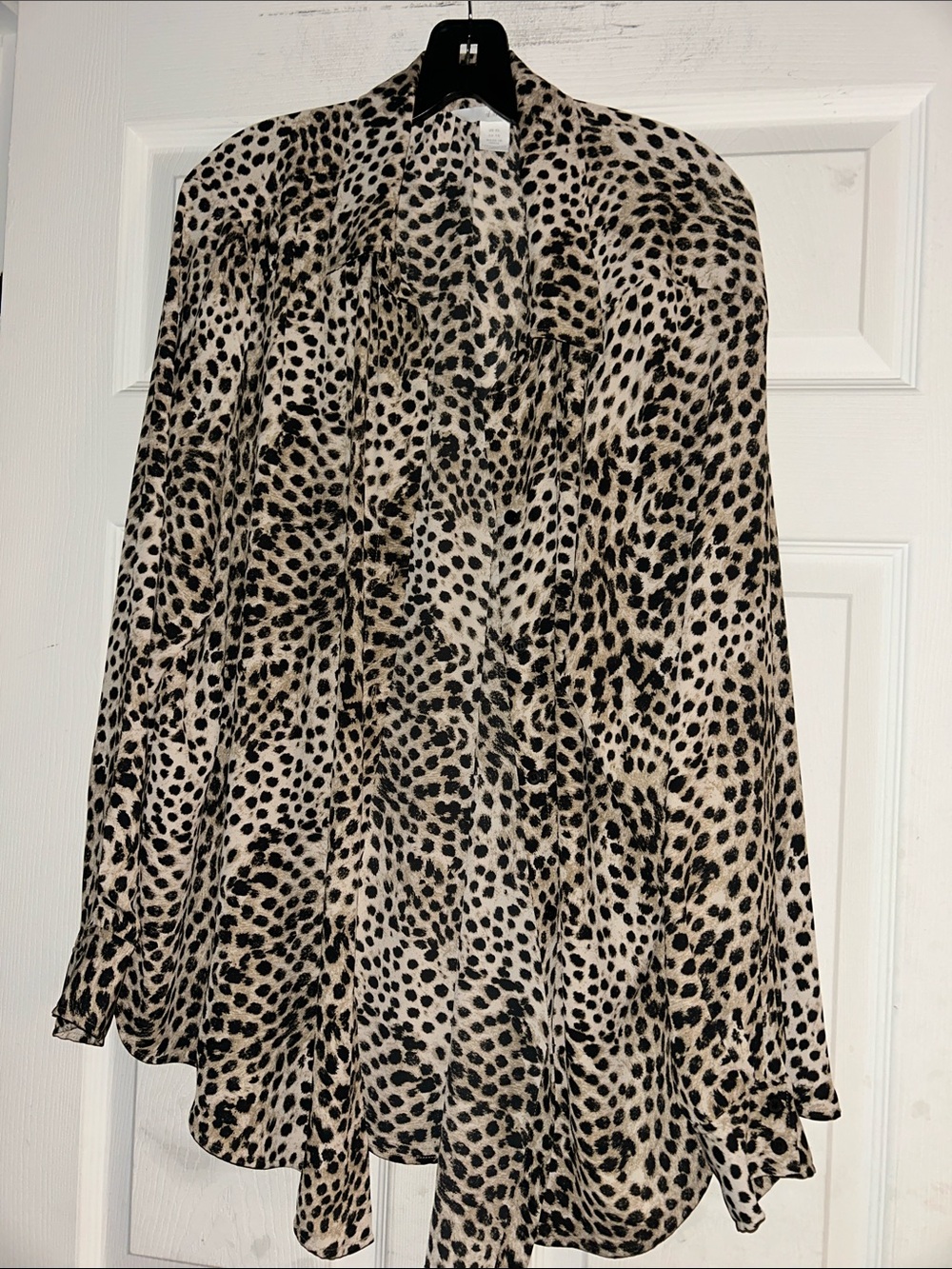 H&M Leopard Button Down Blouse